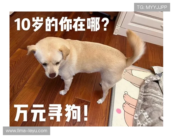 张琳芃家的狗都吃进口粮，我还在纠结外卖满减